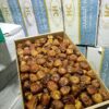 KURMA SUKARI HC NON WRAPPING DUS - Gambar 2